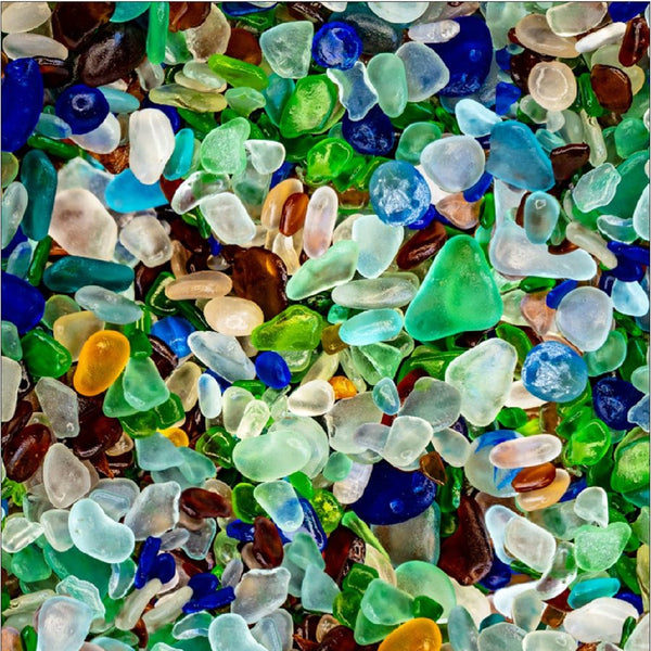 Natures Narratives by Hoffman-Sea Glass